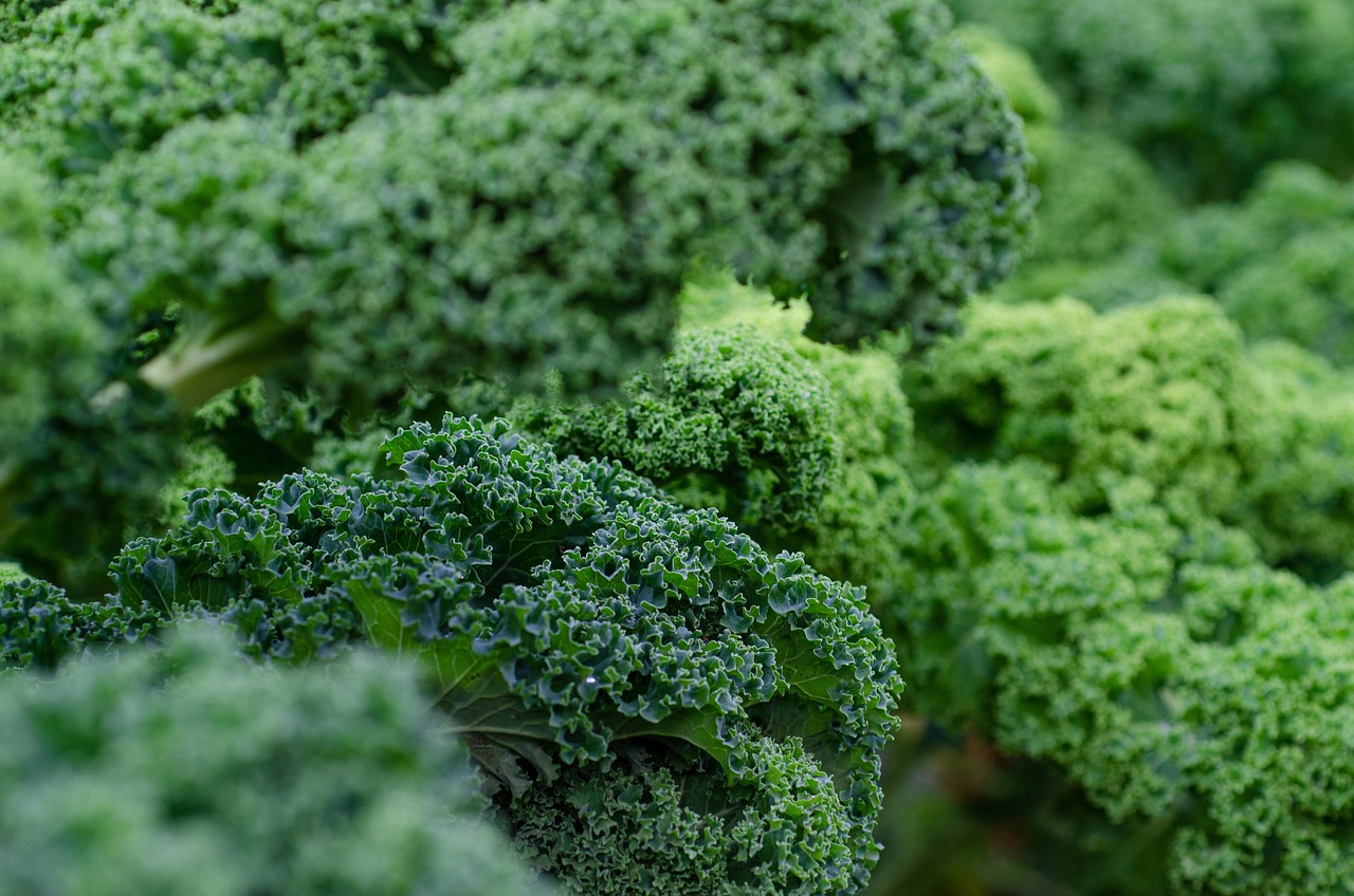 entdecken sie die welt der superfoods: erfahren sie, welche nährstoffreichen lebensmittel ihre gesundheit fördern, wie sie superfoods in ihre ernährung einbauen und welche vorteile sie für ihr wohlbefinden bieten.