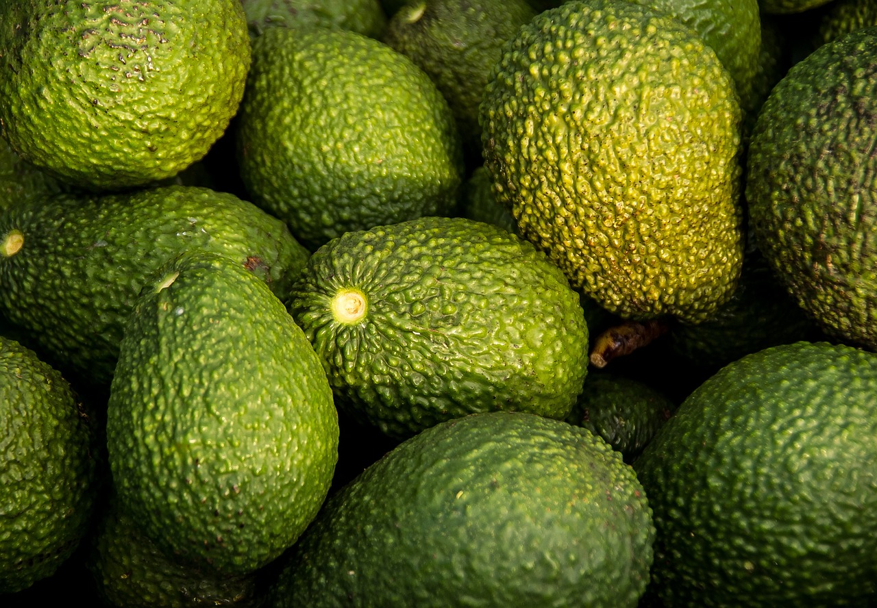 entdecken sie die welt der superfoods: gesunde, nährstoffreiche lebensmittel, die ihre ernährung bereichern, das immunsystem stärken und ihr wohlbefinden steigern. lernen sie superfoods und ihre vorteile kennen!
