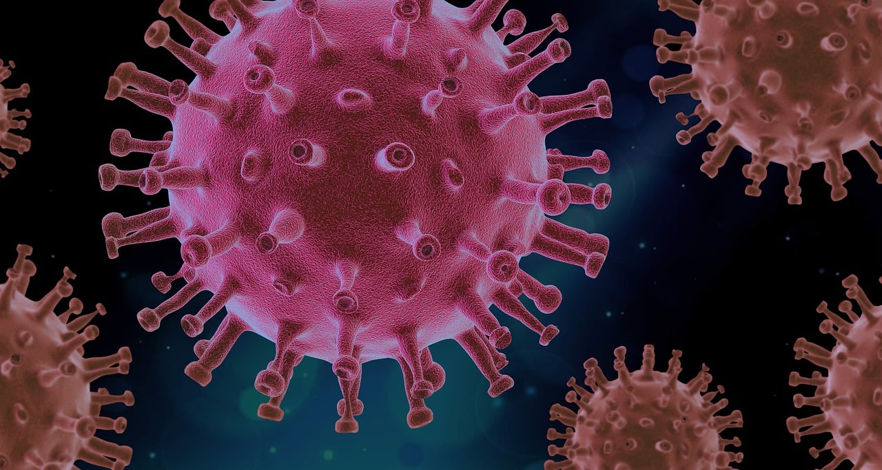 Wie kann man sein Immunsystem auf natürliche Weise stärken?