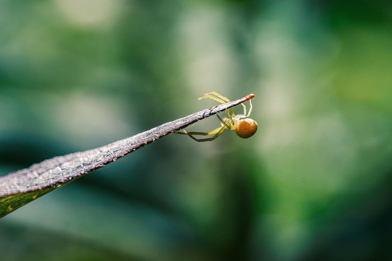 entdecken sie das konzept des biologischen alters und wie es ihre gesundheit und ihr wohlbefinden beeinflussen kann. erfahren sie, welche faktoren ihr biologisches alter bestimmen und wie sie es positiv verändern können.