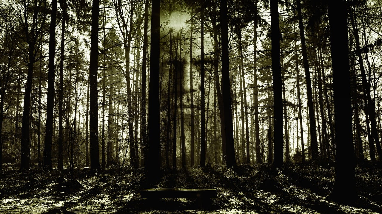 entdecken sie die verschiedenen facetten der angst: von psychologischen aspekten bis hin zu deren auswirkungen auf das tägliche leben. erfahren sie, wie man mit angst umgeht und sie überwindet.