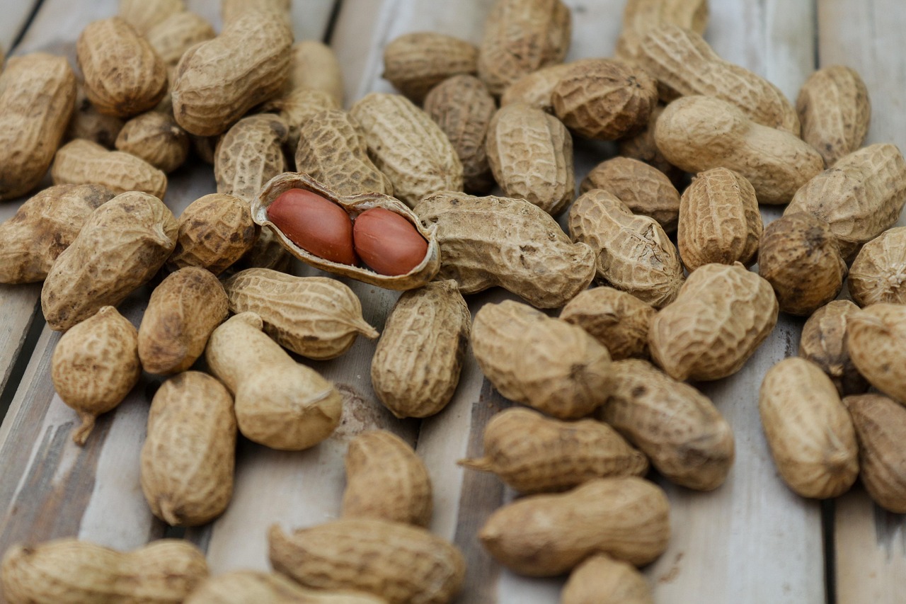 entdecken sie, wie eine ausgewogene ernährung ihr wohlbefinden fördert. erfahren sie tipps und rezepte, um gesund, fit und voller energie zu bleiben.