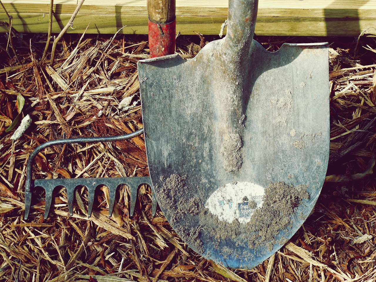 entdecken sie die besten digitalen tools für effizientes arbeiten, zusammenarbeit und produktivitätssteigerung. vergleichen sie innovative lösungen und finden sie das passende digitale werkzeug für ihr unternehmen oder ihr tägliches leben.
